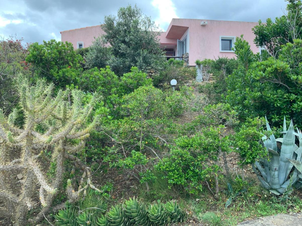 Ferienhaus Panorama, San Teodoro, Isuledda San Teodoro  Exterior foto